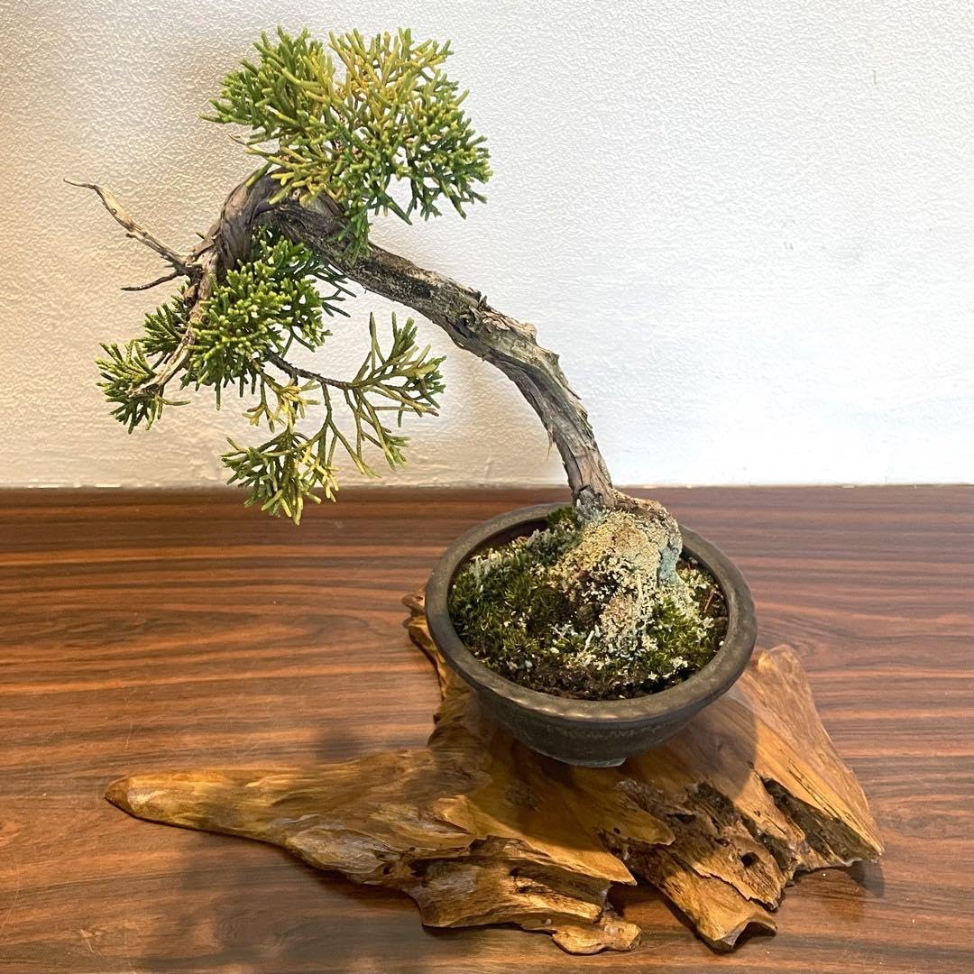 Amazon.co.jp: 1156 花台 盆栽台 流木インテリア 生け花 : おもちゃ